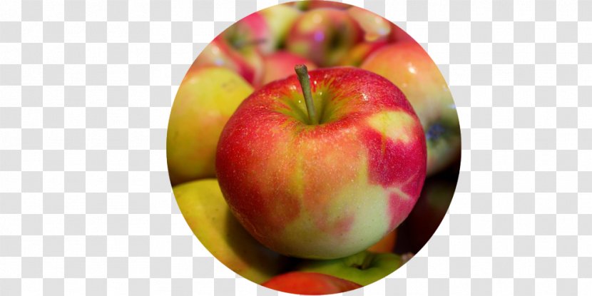 Harbourfront Oil And Vinegar Fruit Apple Vegetable - Face - Fuji Transparent PNG