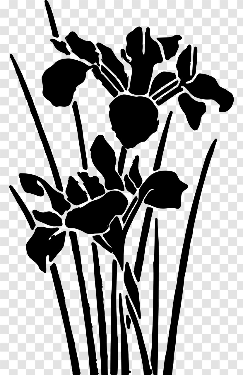 Floral Design Visual Arts Illustration - Flower - Flowering Plant Transparent PNG