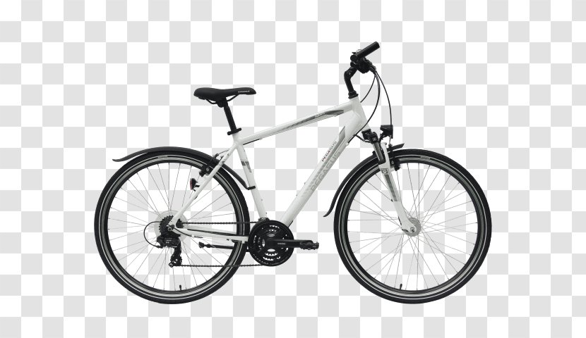 Hybrid Bicycle Giant Bicycles Mountain Bike Single-speed - Accessory - Hercules Pegasus Transparent PNG