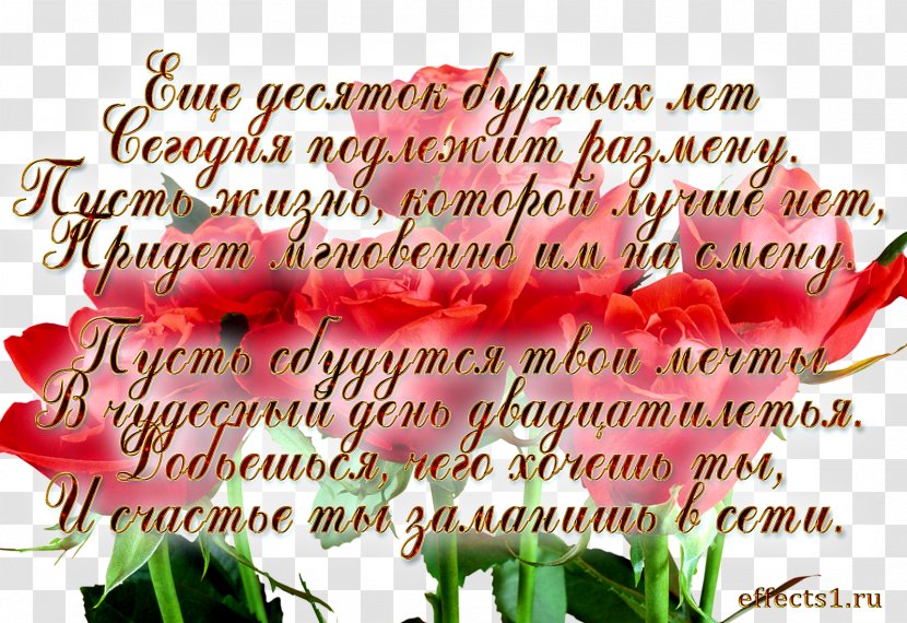 Birthday Jubileum Verse Garden Roses Wedding Anniversary - Love Transparent PNG
