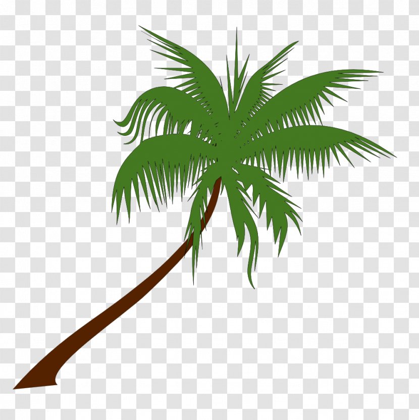 Palm Tree - Leaf - Woody Plant Coconut Transparent PNG