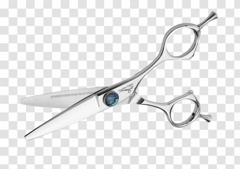 Scissors Hair-cutting Shears Nipper Hairstyle - Model Transparent PNG