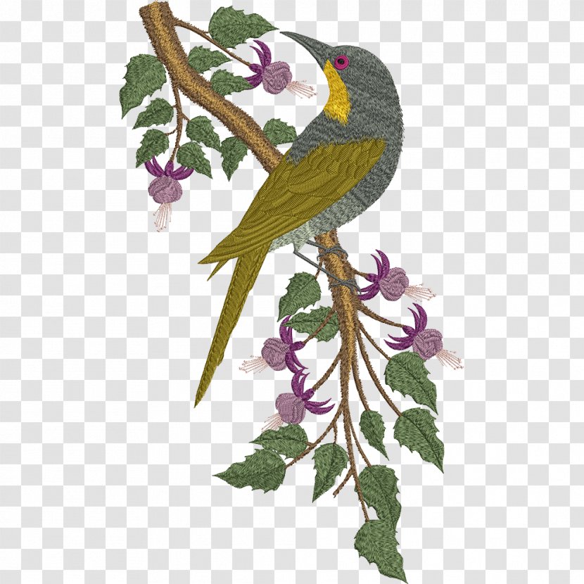 Parrot Bird Embroidery Beak Transparent PNG