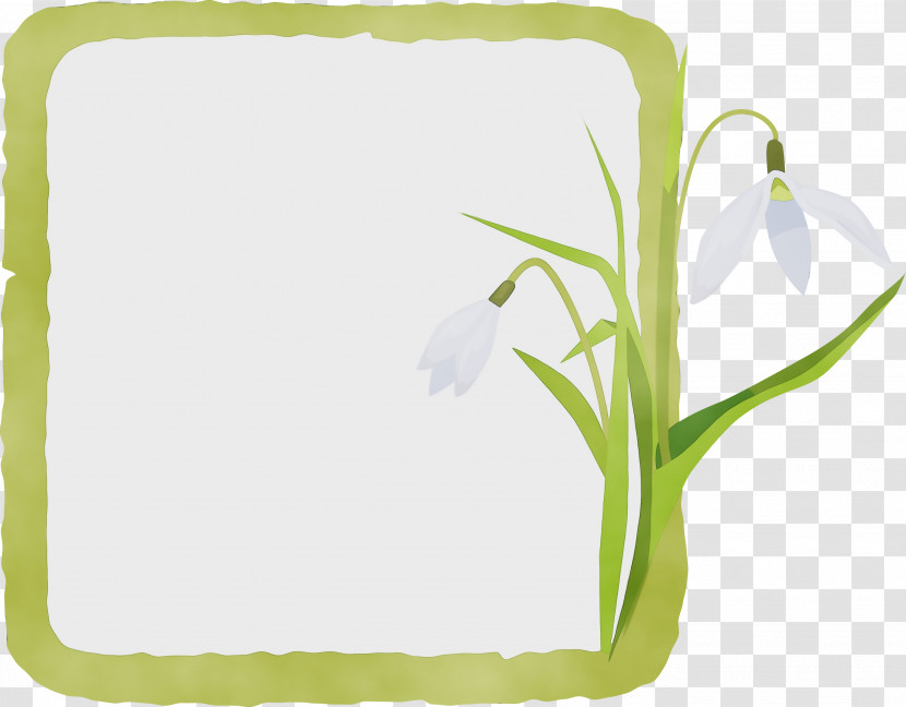 Picture Frame Transparent PNG