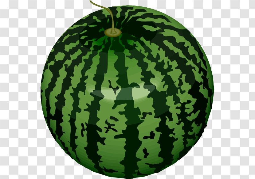 Fruit Drawing Vegetable Sketch - Melon Transparent PNG