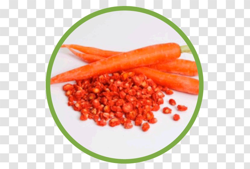 Baby Carrot - Vegetable - Dried Plum Transparent PNG