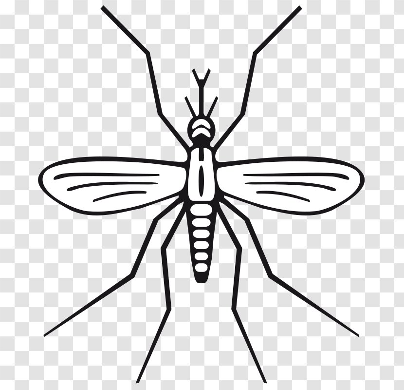 Mosquito Clip Art - Monochrome - Us Holiday Transparent PNG
