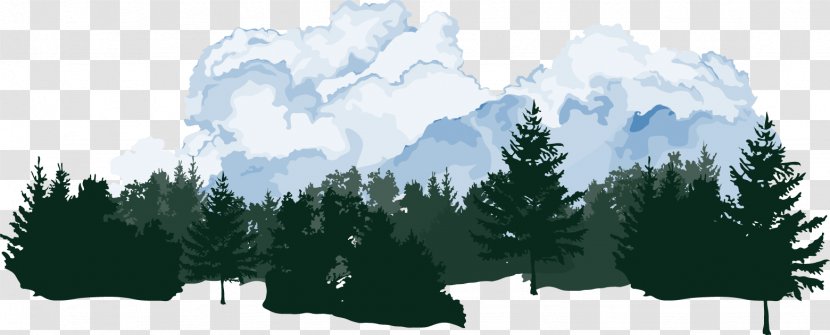Download Illustration - Plant - Vector Forest Transparent PNG