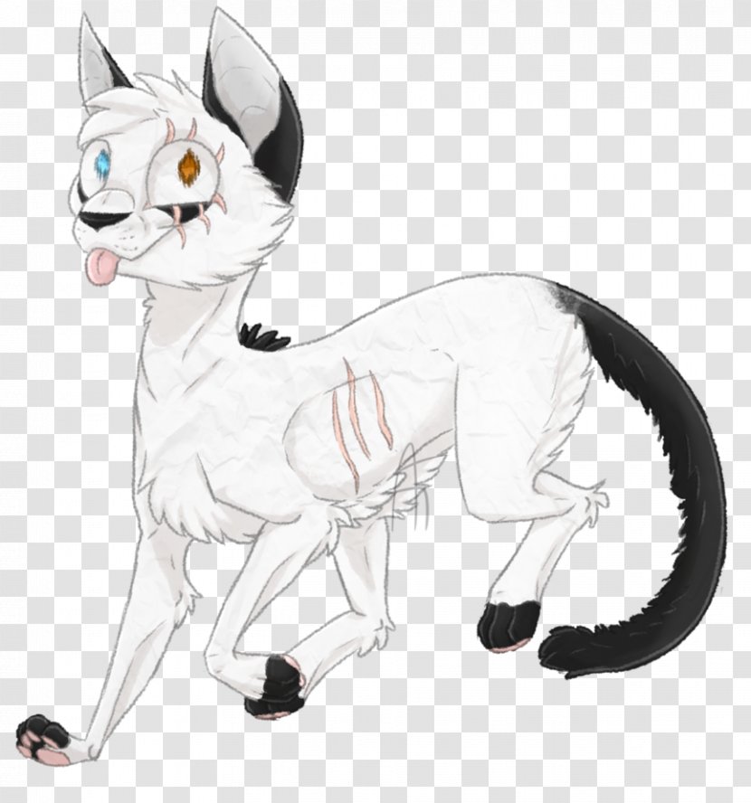 Whiskers Kitten Drawing Cat Horse - Animated Cartoon Transparent PNG