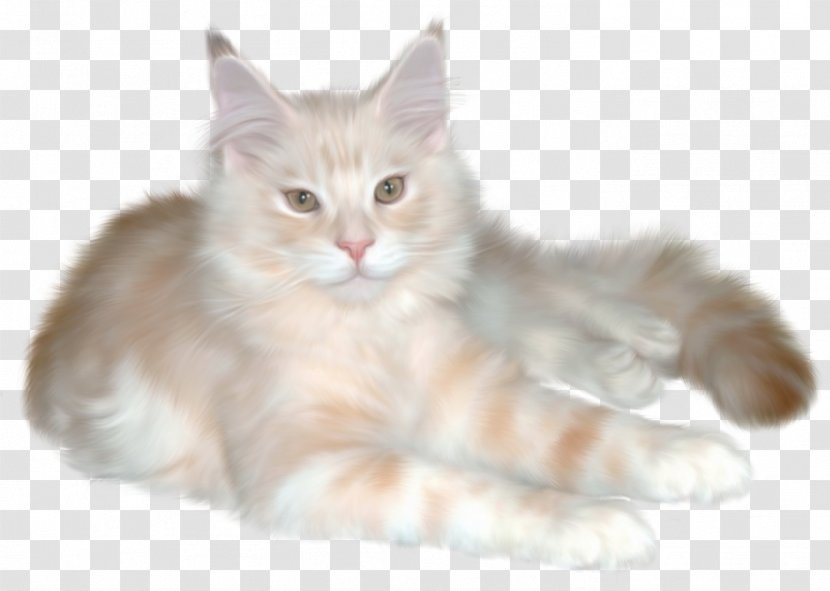Persian Cat Kitten Ragdoll Clip Art - Whiskers - Claw Transparent PNG