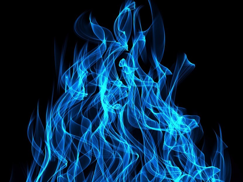 Blue Fire Light Flame - Tree Transparent PNG