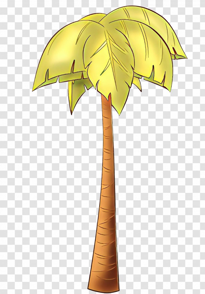 Palm Tree - Arecales Transparent PNG