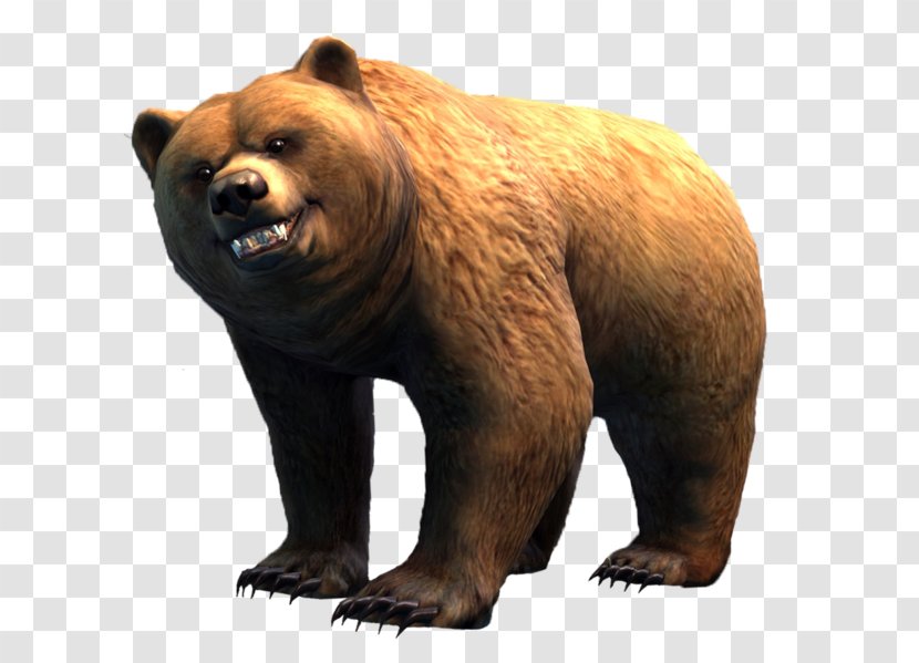 Grizzly Bear Guild Wars 2 Brown Polar Transparent PNG