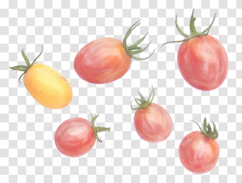 Tomato Transparent PNG