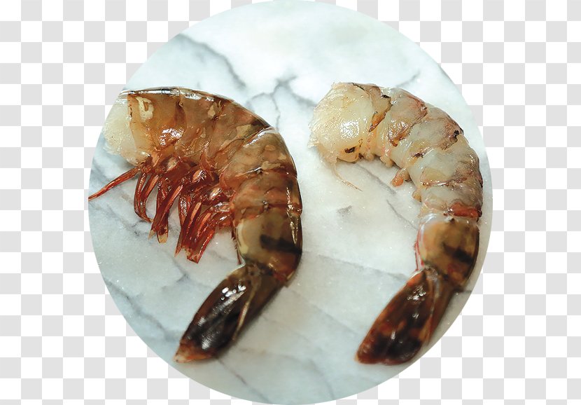 Prawns Caridea Lobster Scampi Shrimp - Recipe Transparent PNG