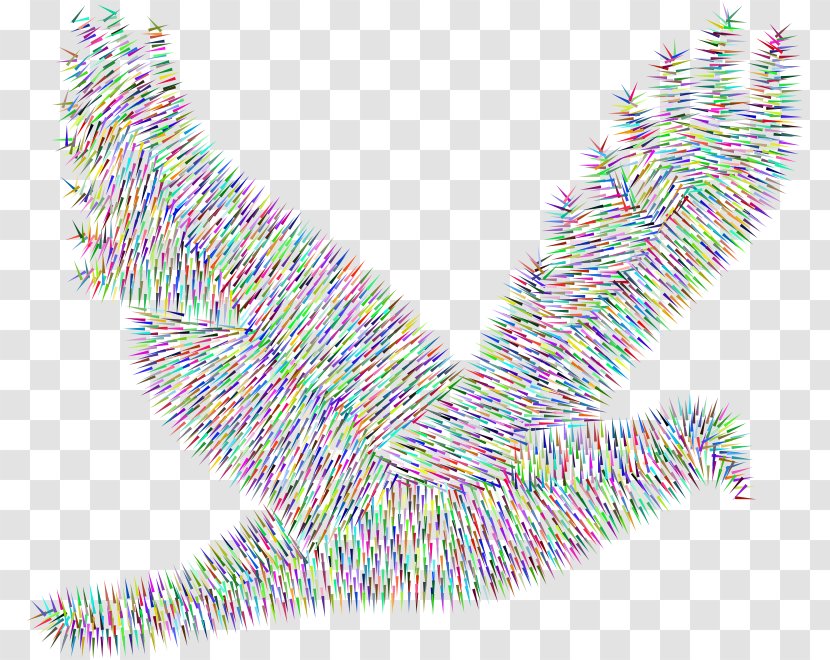 Columbidae Clip Art - Line Transparent PNG