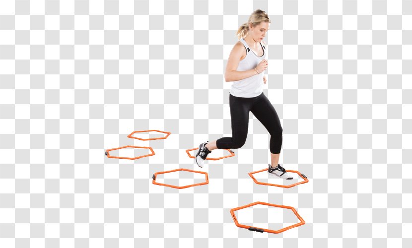 Physical Fitness Agility Exercise CrossFit Training - Tree - Printable Ladder Drills Transparent PNG