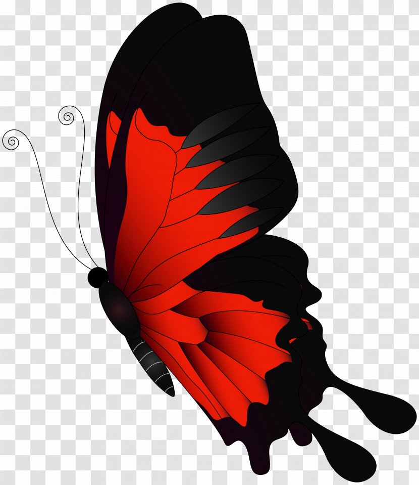 Butterfly Flight - Invertebrate - Red Flying Clip Art Transparent PNG