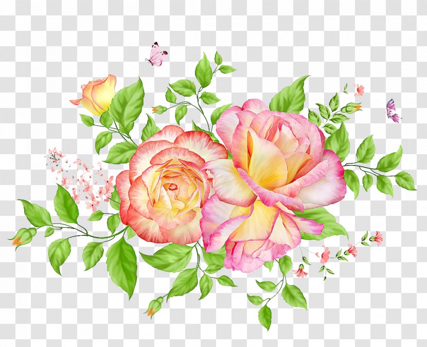 Plant Flower Drawing - Flowering - Fresh And Beautiful Hand-painted Flowers Transparent PNG