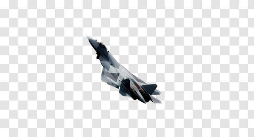 Sukhoi PAK FA Aircraft KAI T-50 Golden Eagle Airplane Sukhoi/HAL FGFA - Pak Fa Transparent PNG