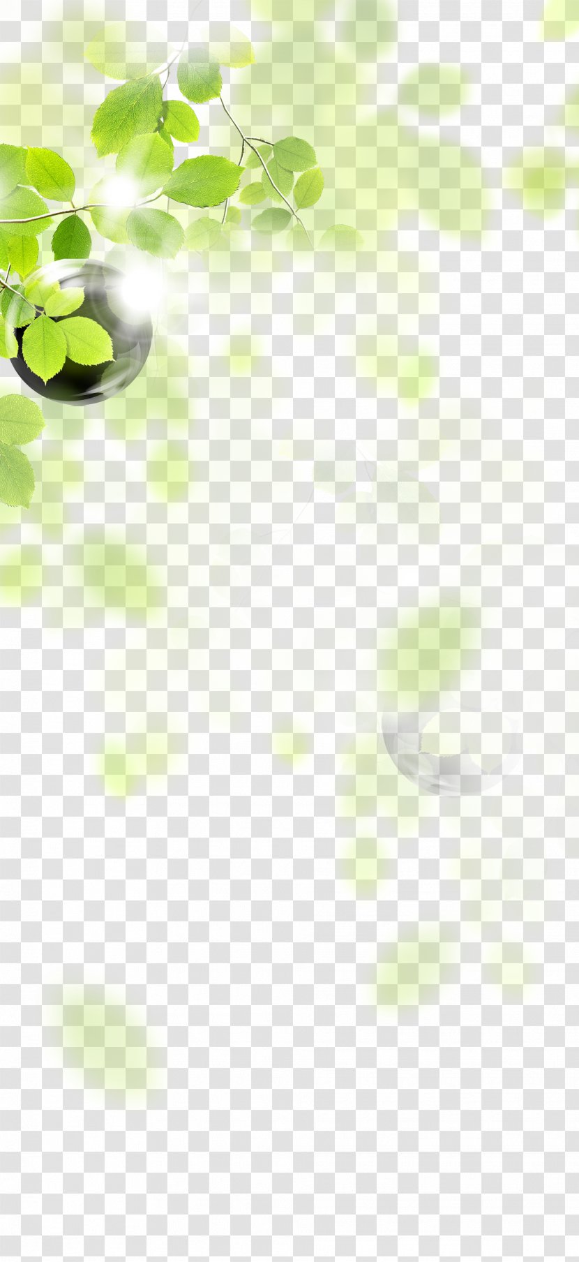 Green Leaf Angle LINE Pattern - Grass - Leaves, Decoration, Taobao Creative, Transparent PNG