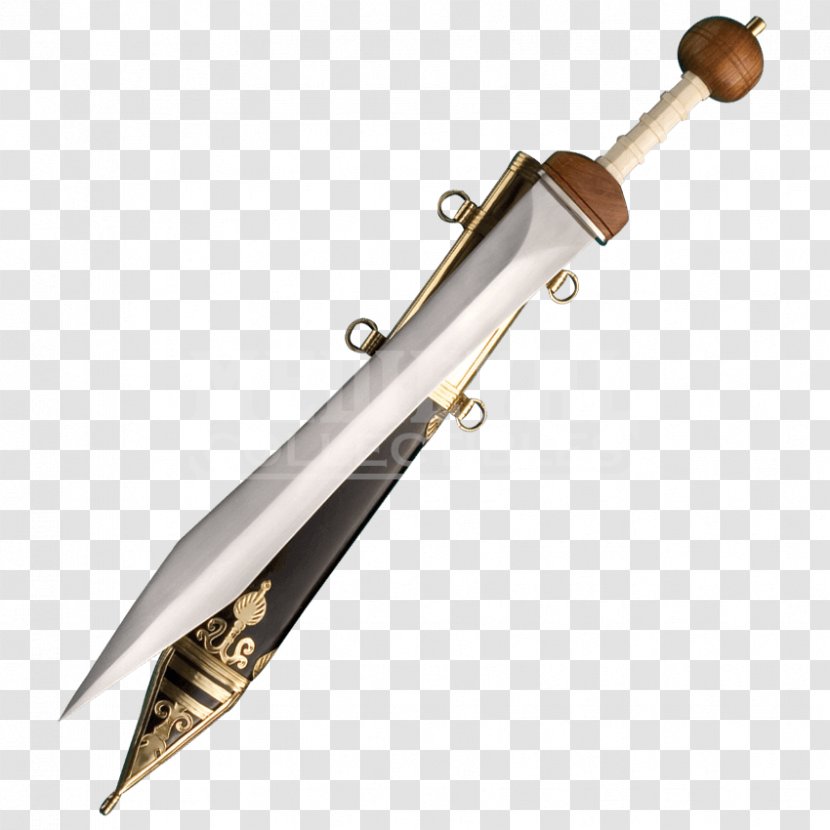 Gladius Ancient Rome Sword Mainz Gladiator - Thraex Transparent PNG