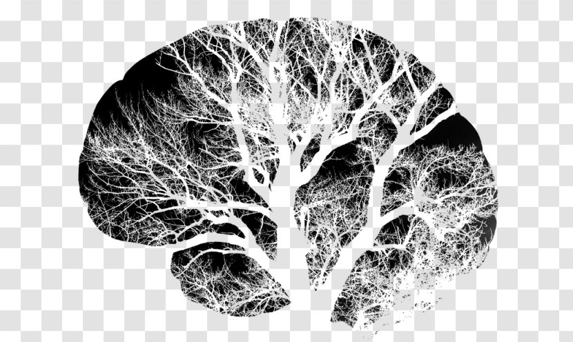 Brain Injury Neuron Cerebral Cortex Artificial Neural Network - Silhouette - Creativity Ideas Transparent PNG