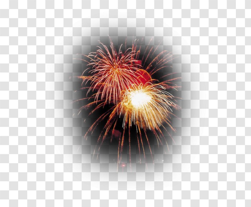 Independence Day Branson Glens Falls Skiatook Fireworks - Cartoon Transparent PNG