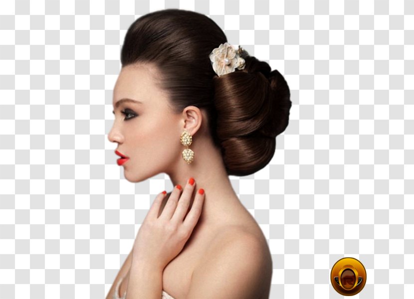 Hairstyle Updo Fashion Bun Bob Cut - Chin Transparent PNG