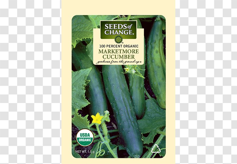 Cucumber Organic Food Seeds Of Change W. Atlee Burpee & Co. - Cereal Transparent PNG