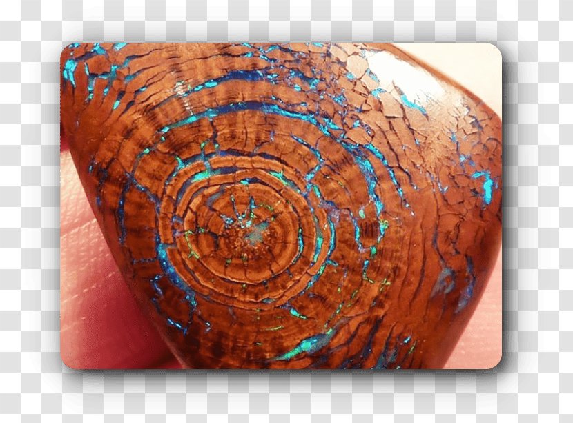 Table Opal Petrified Wood Mineral - Plastic Transparent PNG
