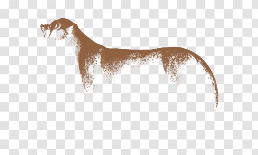 Dog Breed Italian Greyhound Wildlife - Sadio Man%c3%a9 - Brown Dust Transparent PNG