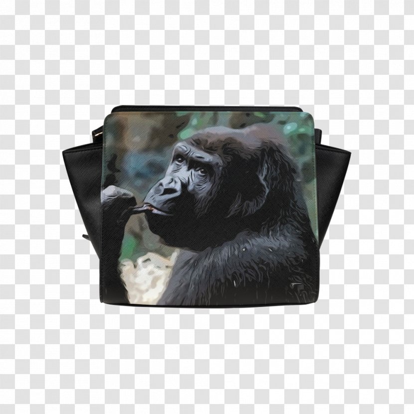 Common Chimpanzee Gorilla Primate Animal Lemur - Snake Transparent PNG