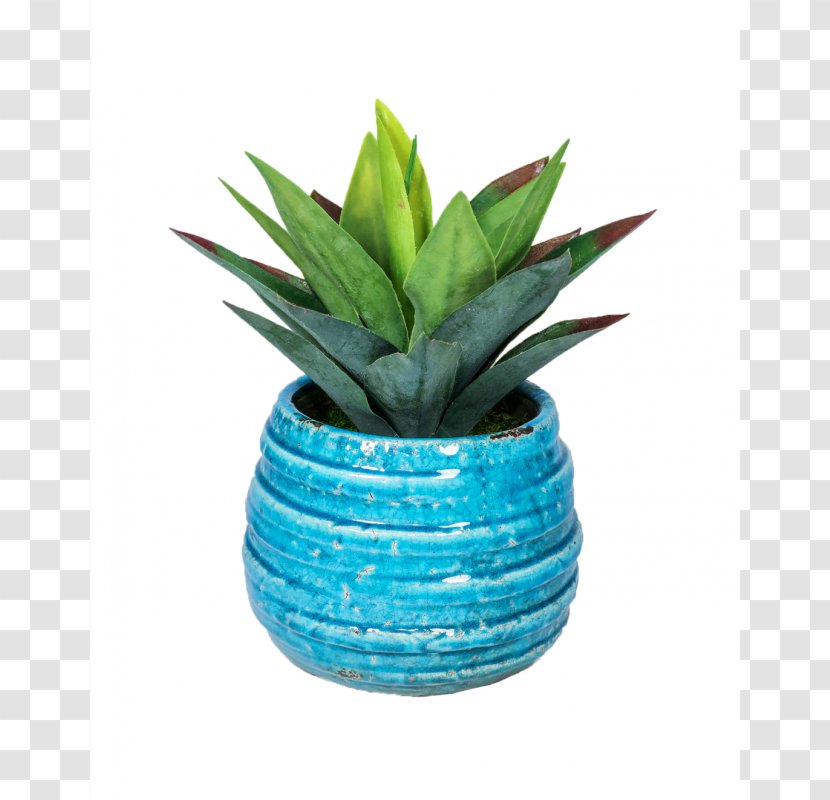 Majorelle Blue Garden Turquoise Flowerpot Plant - Suculent Transparent PNG