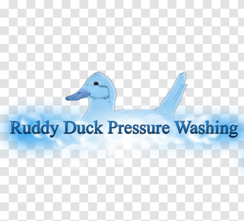Logo Brand Font Desktop Wallpaper Product - Water - Pressure Washing Business Flyer Transparent PNG