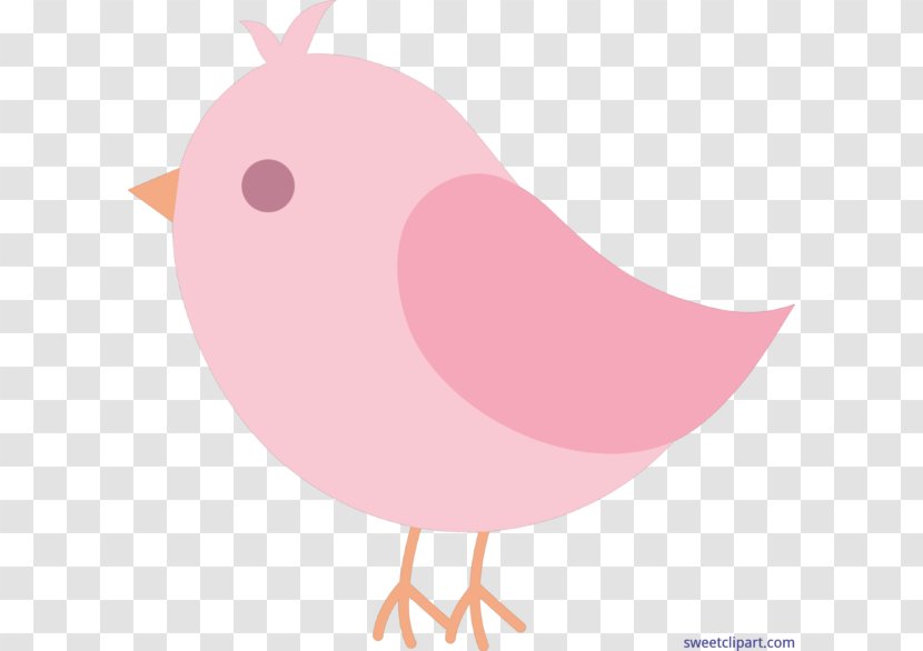 Lovebird Clip Art - Cuteness - Bird Transparent PNG