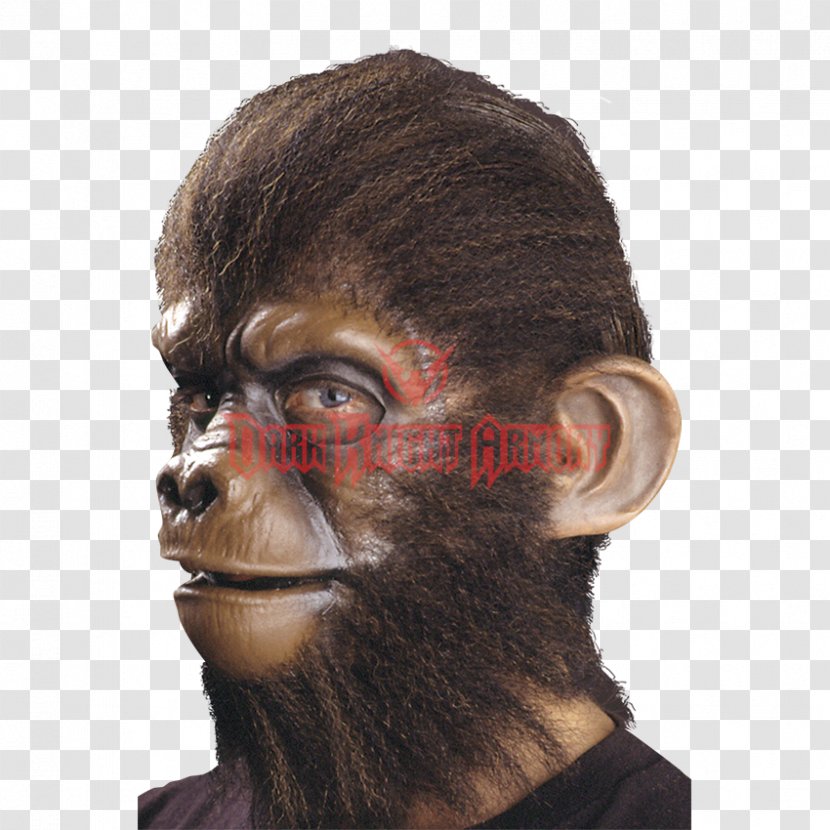 Simian Ear Monkey Chimpanzee Prosthesis - Jaw Transparent PNG