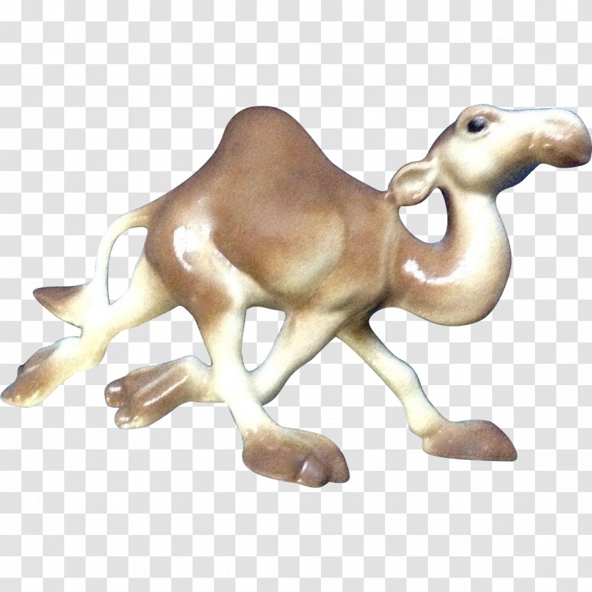 Camel Animal Figurine Fauna - Mammal - Camels Transparent PNG