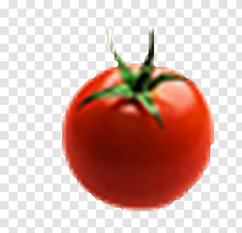Plum Tomato Pizza Bush Fruit Beefsteak - Winx Club Season 1 Transparent PNG