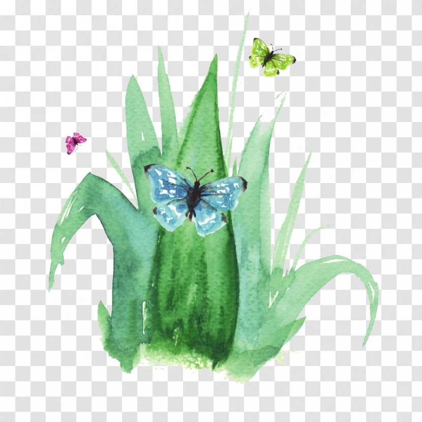 Green Watercolor Painting Illustration - Flowerpot - Grass Transparent PNG