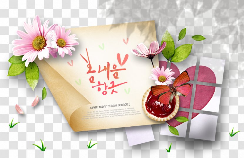 Paper Floral Design Flower Illustration - Petal - Korean Style Grass Free Downloads Transparent PNG