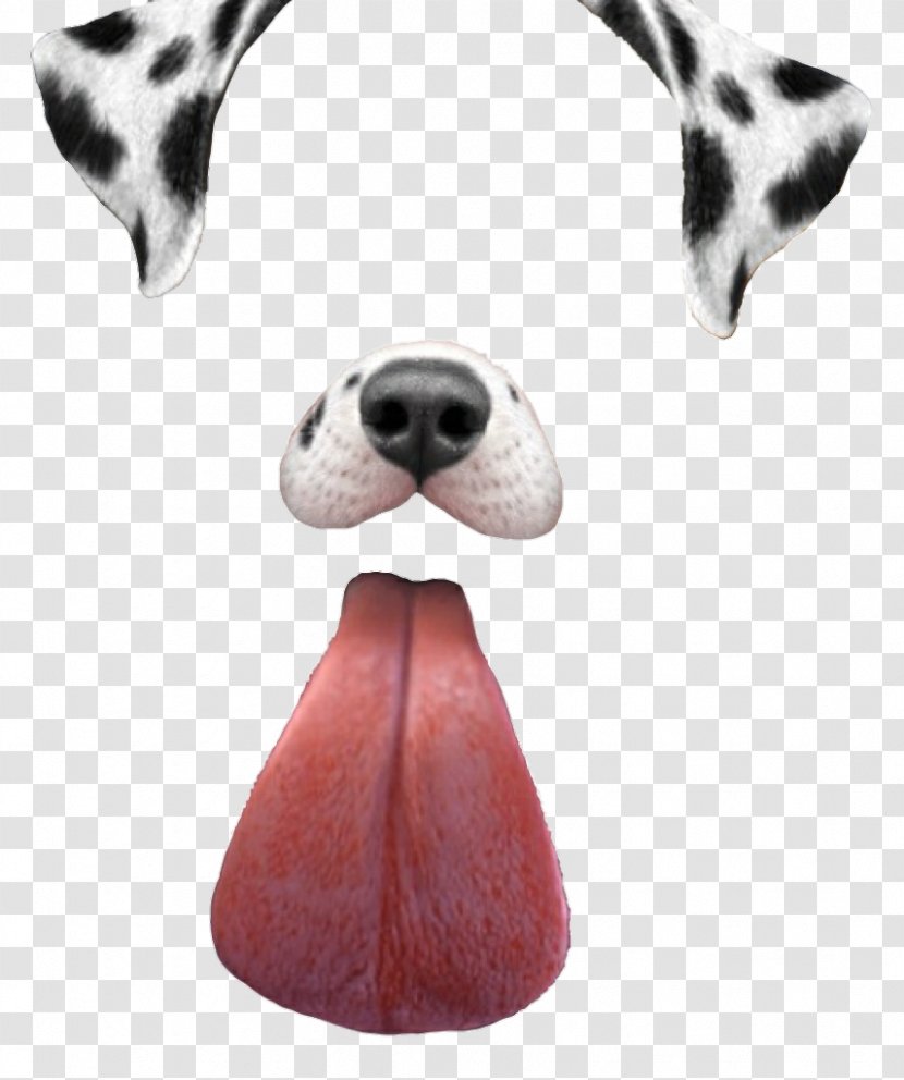 Dalmatian Dog Dachshund Puppy Snapchat - Iphone - Icon Free Vectors Download Filters Transparent PNG