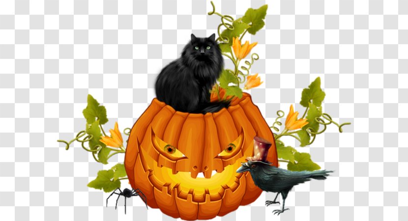 Jack-o'-lantern Whiskers Cat Halloween Winter Squash - Pumpkin Transparent PNG