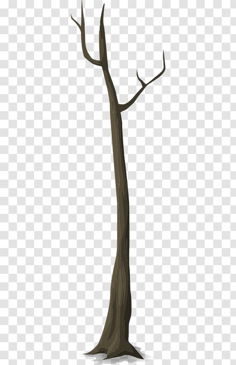 Twig Trunk Tree Branch Snag - Wood Transparent PNG
