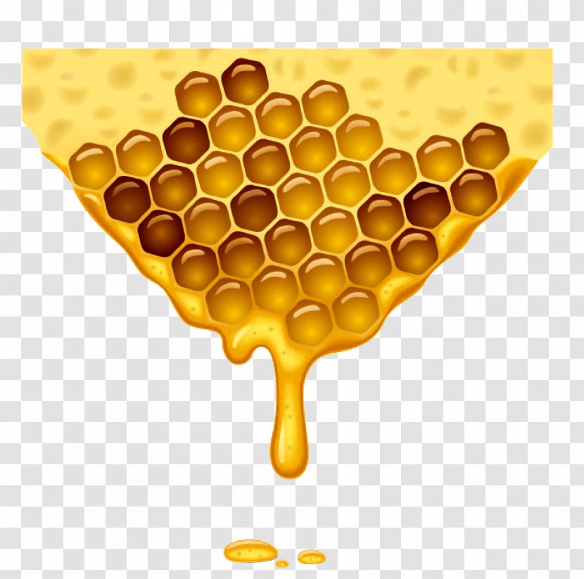Honey Bee Honeycomb Beehive - Yellow - Bees Vector Transparent PNG