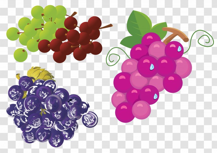 Grape Wine Drink Watermelon - Grapes Transparent PNG