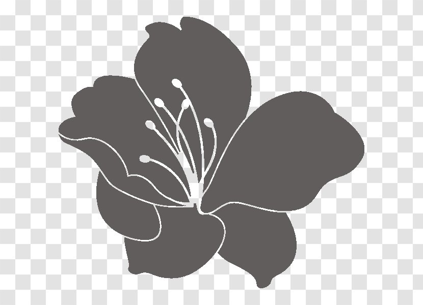 Sticker Flower Clip Art - Mallow Family Transparent PNG