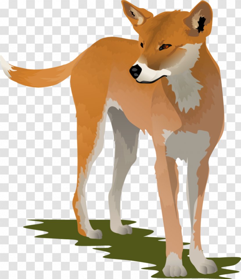 Dingo Dog Clip Art - Cartoon - Cliparts Transparent PNG