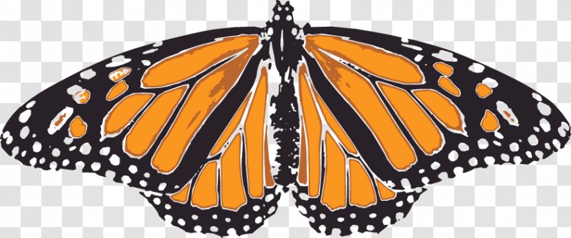 Monarch Butterfly Orange Pieridae - Silhouette Transparent PNG