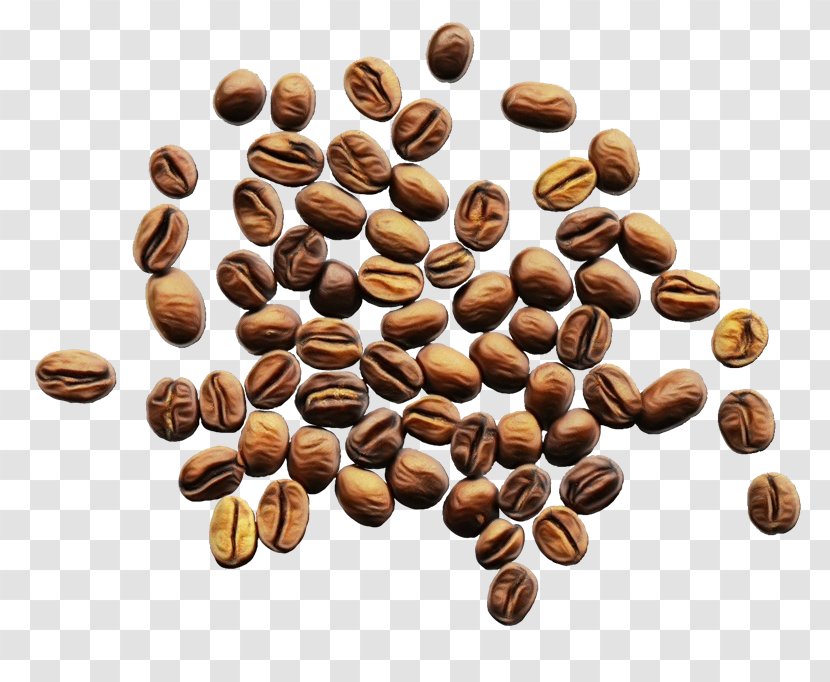 Mountain Cartoon - Coffee Bean - Seed Plant Transparent PNG